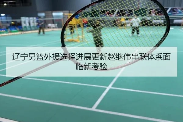辽宁男篮外援选择进展更新赵继伟串联体系面临新考验
